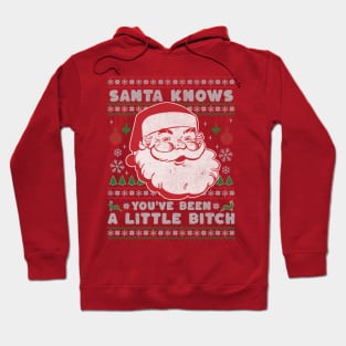 Santa Knows You've Been a Little Bitch Hoodie